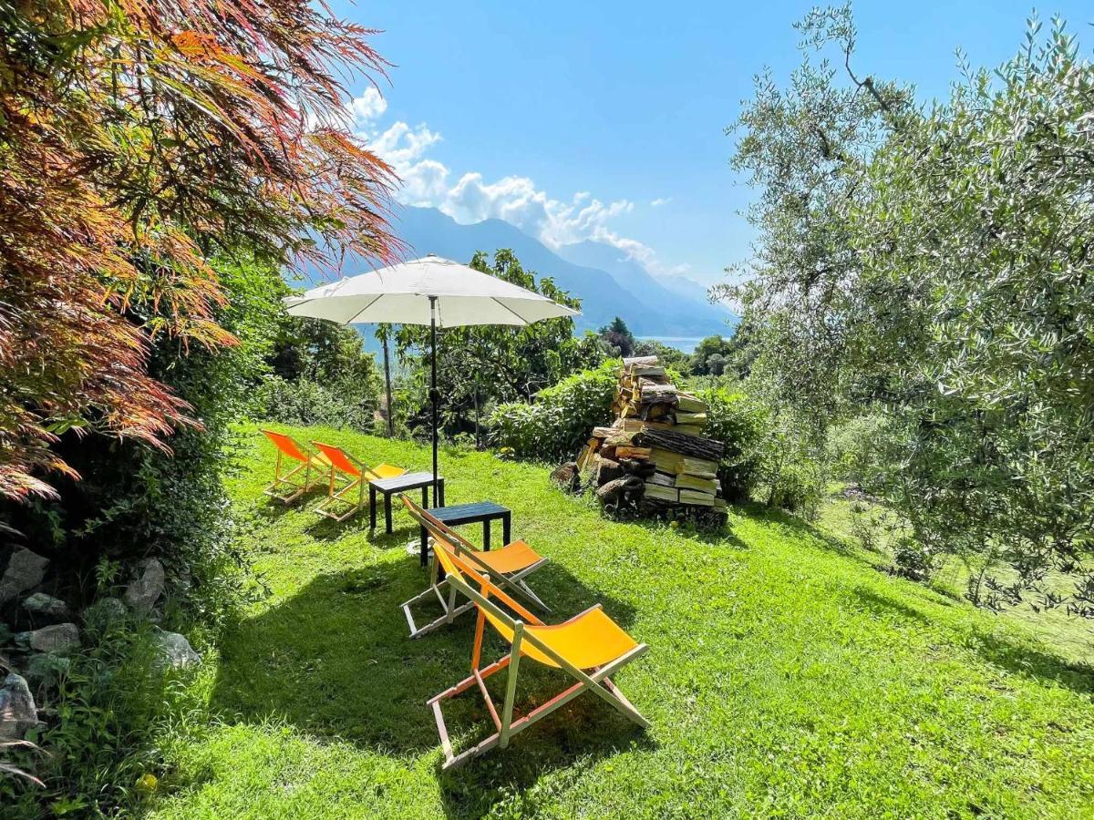 Breva Loft Tra Gli Ulivi Ed Il Lago Беладжо Екстериор снимка