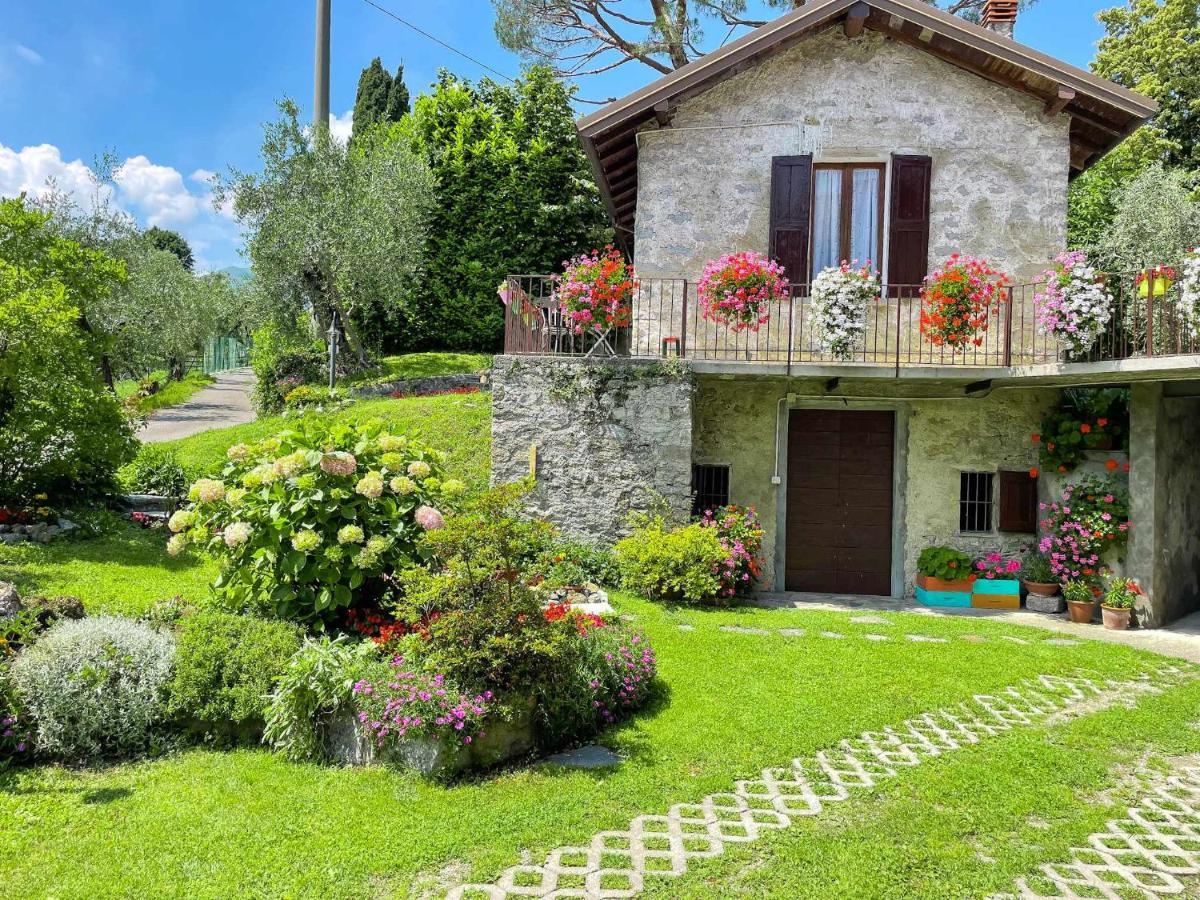 Breva Loft Tra Gli Ulivi Ed Il Lago Беладжо Екстериор снимка