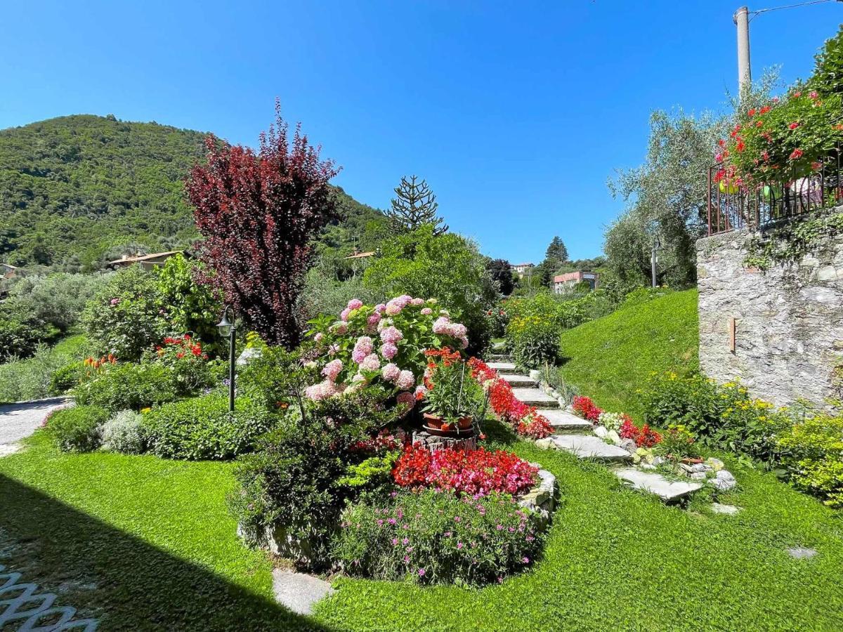 Breva Loft Tra Gli Ulivi Ed Il Lago Беладжо Екстериор снимка